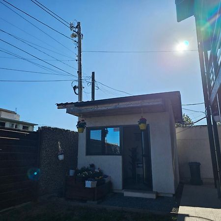 Vila Natalia Vama Veche Buitenkant foto